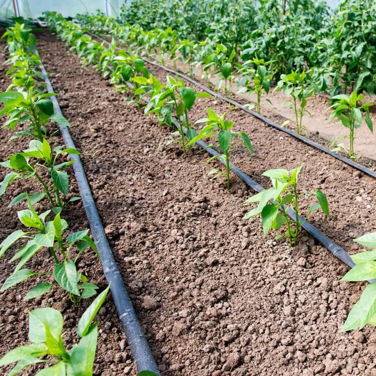 HDPE Agriculture